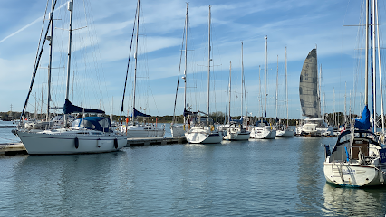 Sailboats docked in a marina under a blue sky, with calm water and masts lined across the harbor.
