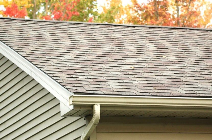 House roof with gray shingles, white trim, and a gutter, with autumn trees in the background