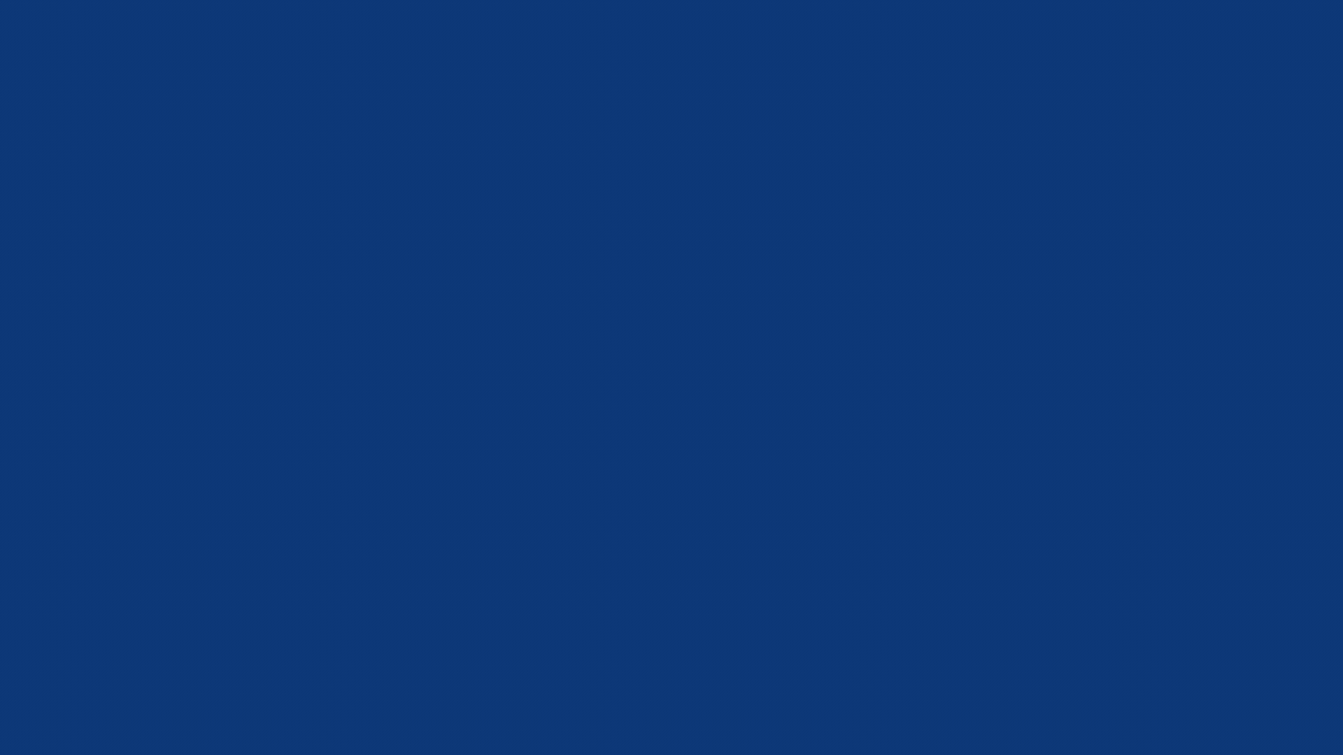 Solid dark blue rectangle with a thin black border at the bottom.