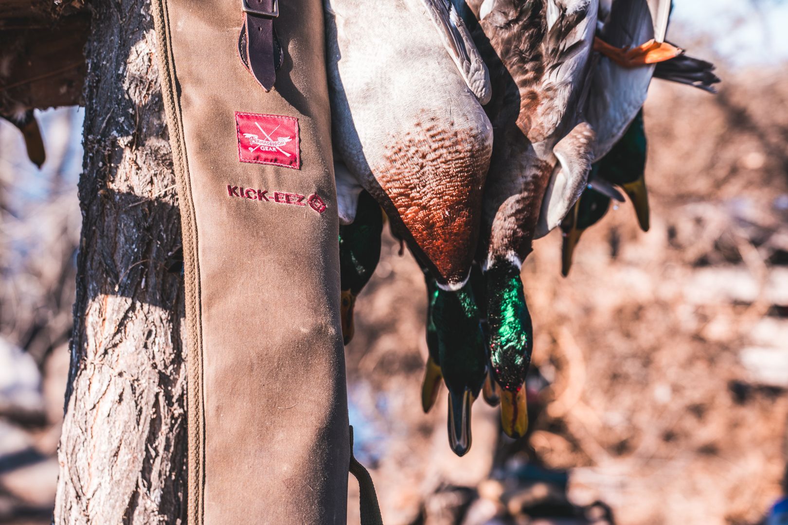 Hanging game birds on a butcher’s apron at an outdoor hunting site
