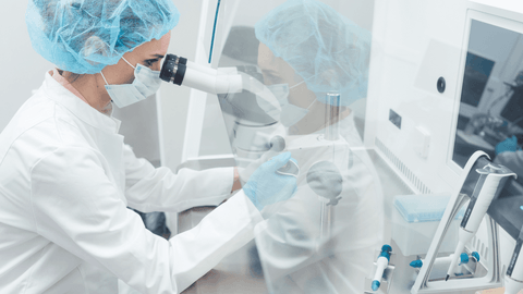 the process of egg freezing
