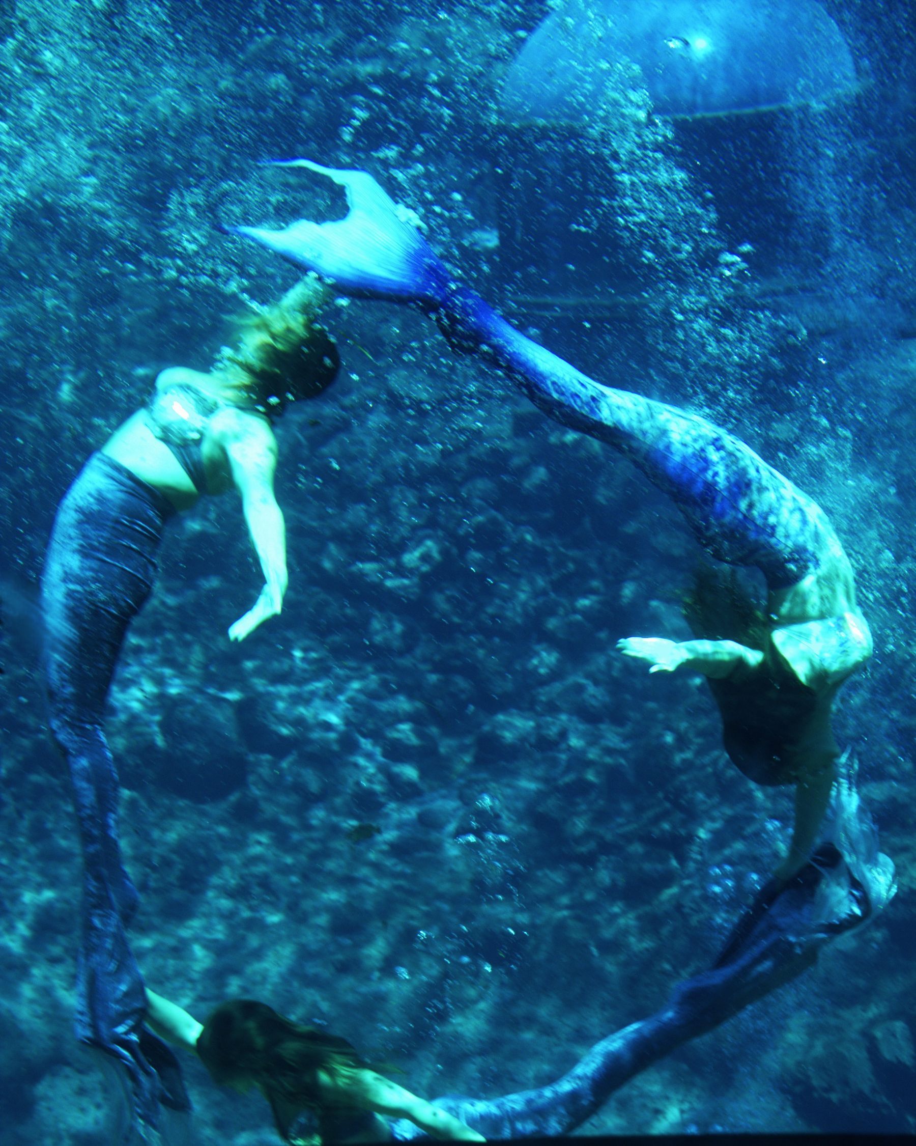 Three mermaids swimming underwater, forming a circle. They wear shimmering tails and tops. Blue water, bubbles.