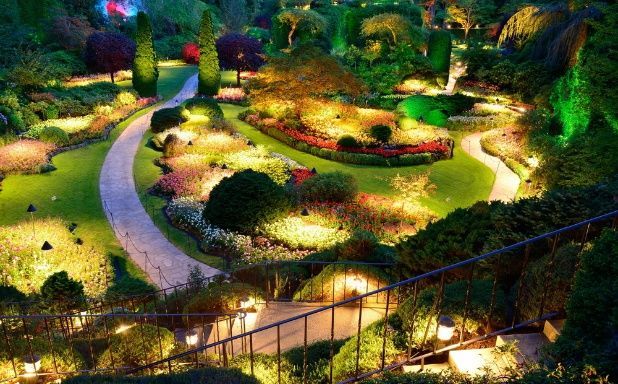 A Garden Is Lit Up At Night With Lots Of Flowers And Trees — Cool & Secure In Noosa, QLD