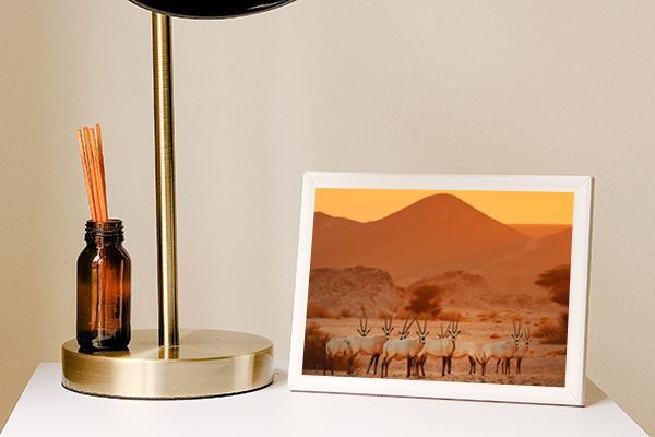 Desk Frames