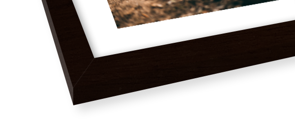 Black frame