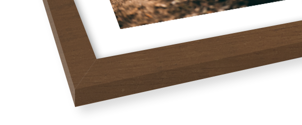 Walnut Frame