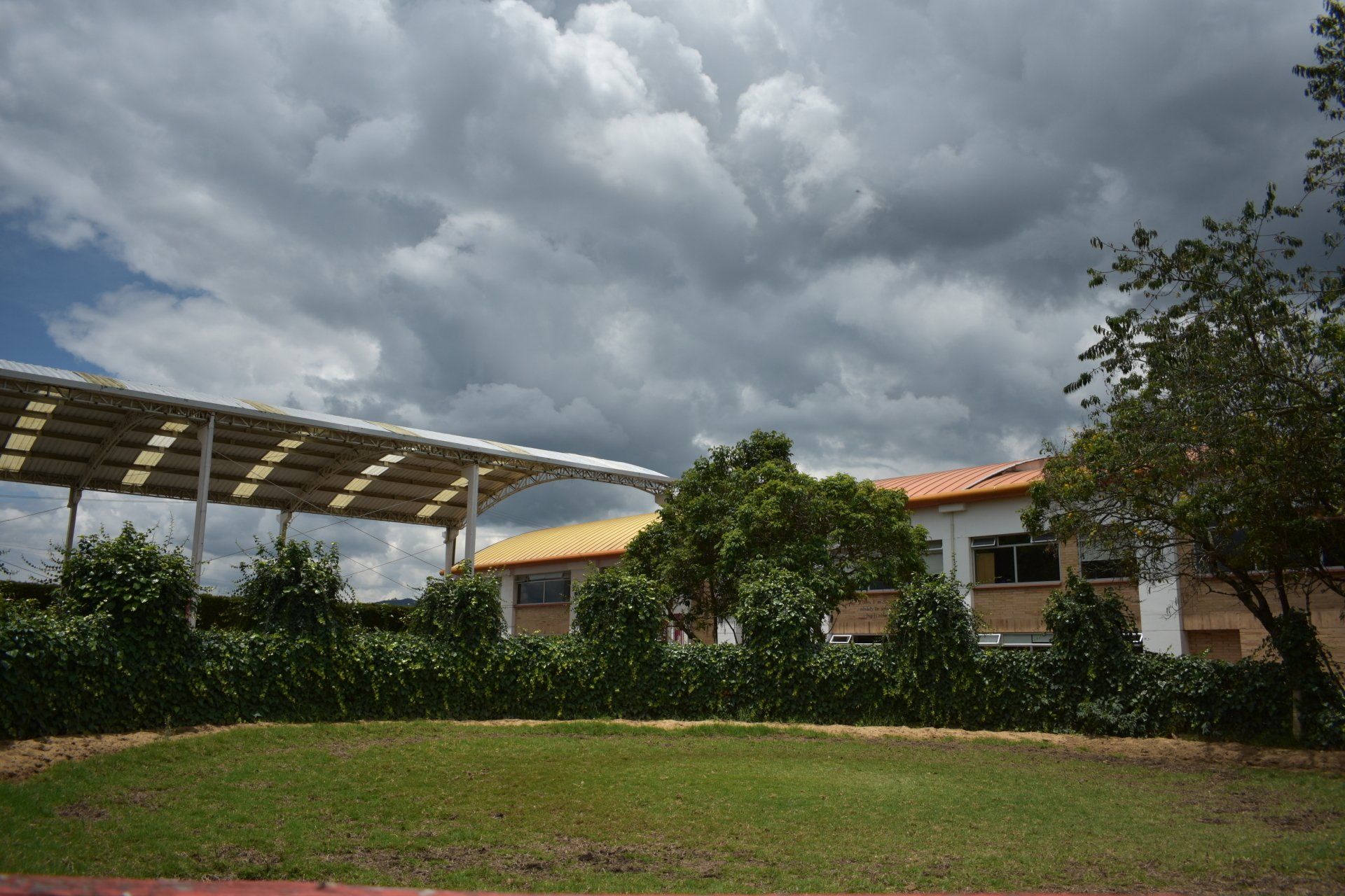 Patio trasero con paneles solares, árboles y una casa bajo oscuras nubes de tormenta.