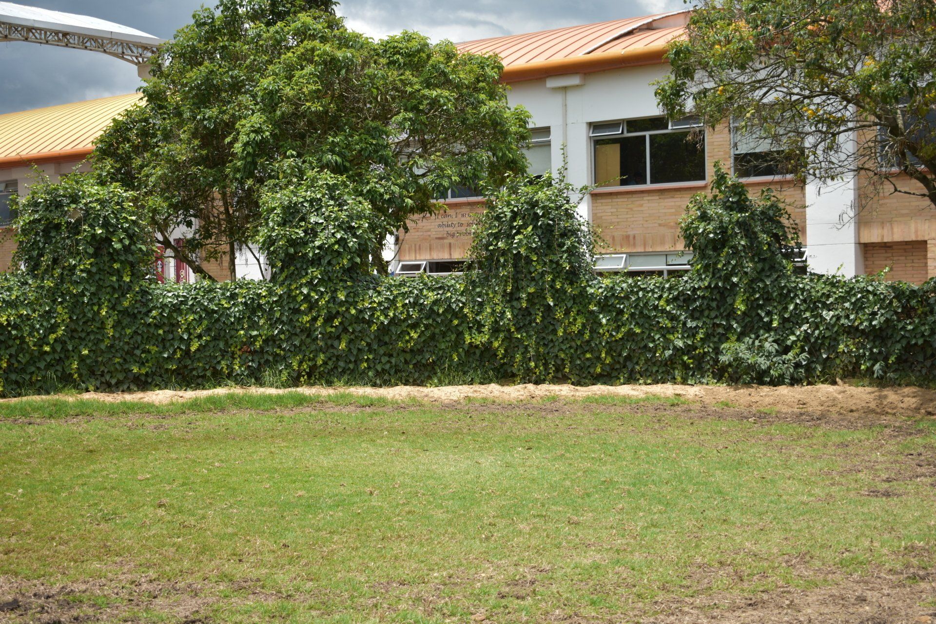 Casa suburbana con techo naranja, setos densos y un césped verde en la fachada.