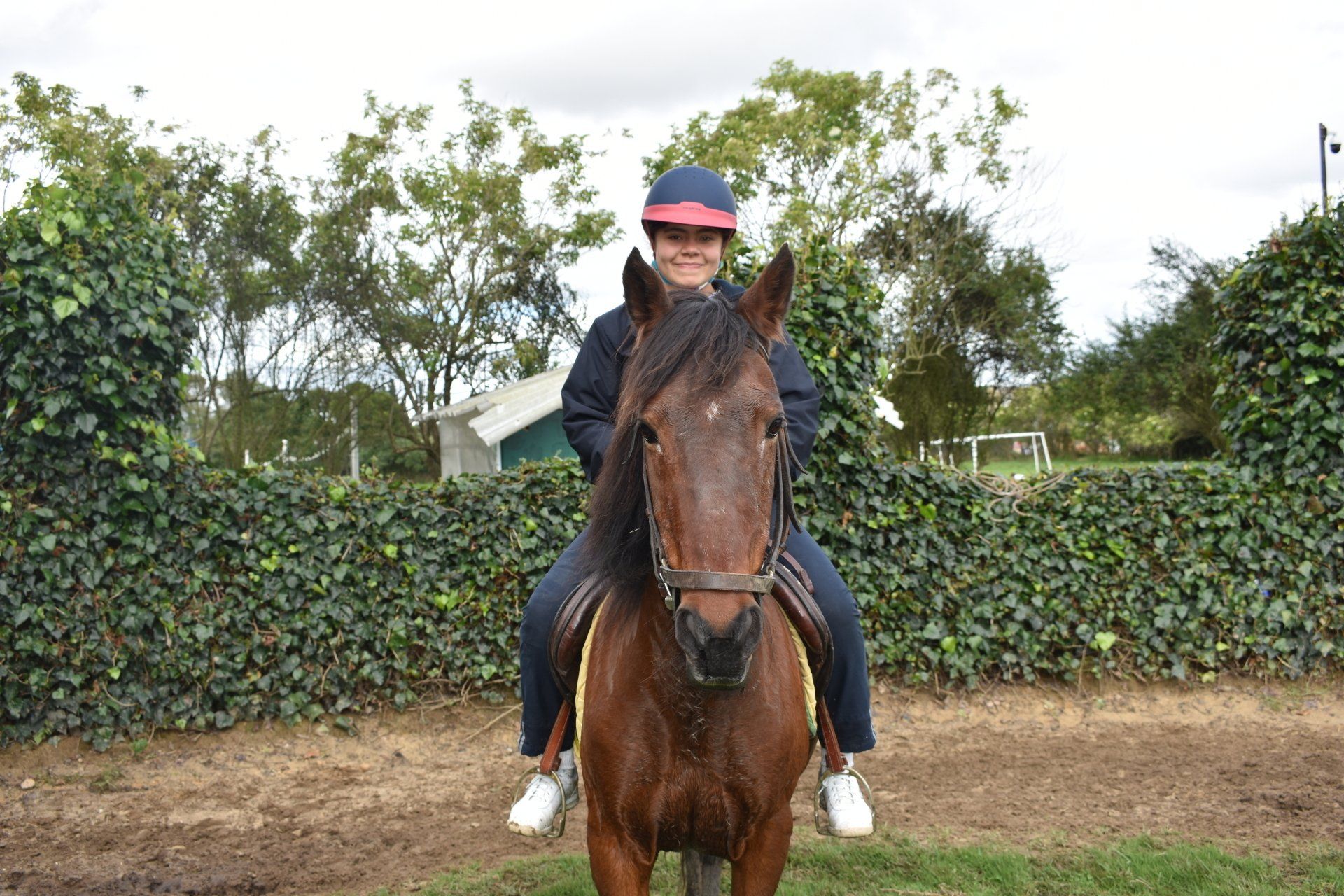 Jinete sobre un caballo marrón en una pista arbolada al aire libre, con gorra rosa y chaqueta oscura.