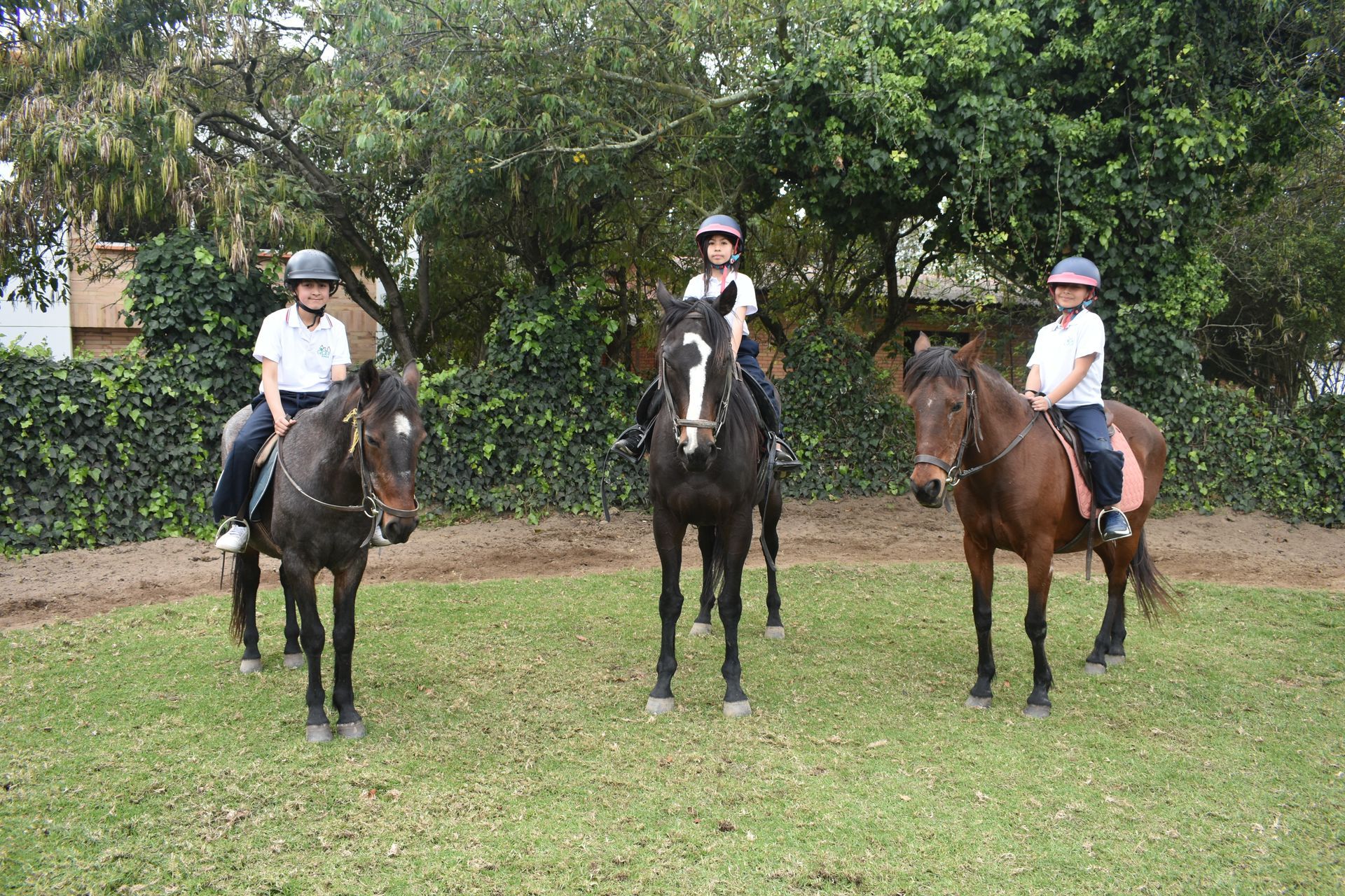 Tres jinetes a caballo en un campo de hierba, con árboles y un seto al fondo.