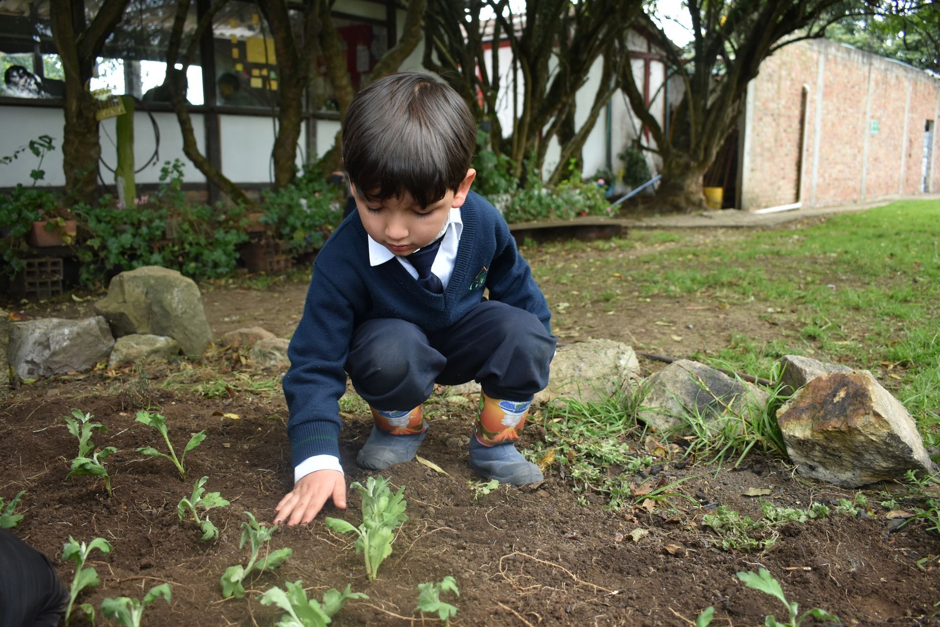 Un niño agachado en un jardín, tocando pequeñas plantas en la tierra cerca de rocas y arbustos.
