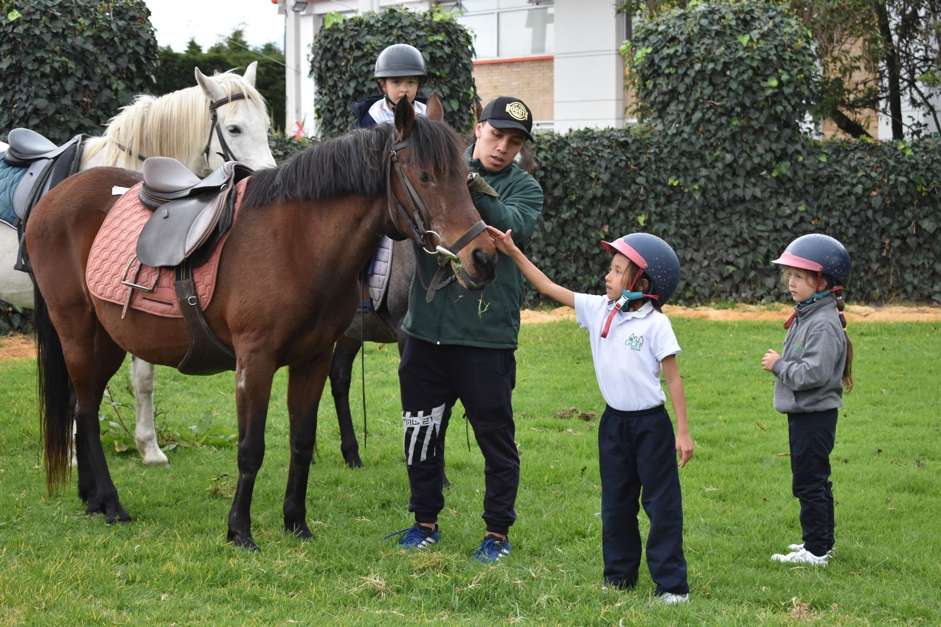 Personas acariciando caballos con jinetes en un parque cubierto de hierba.