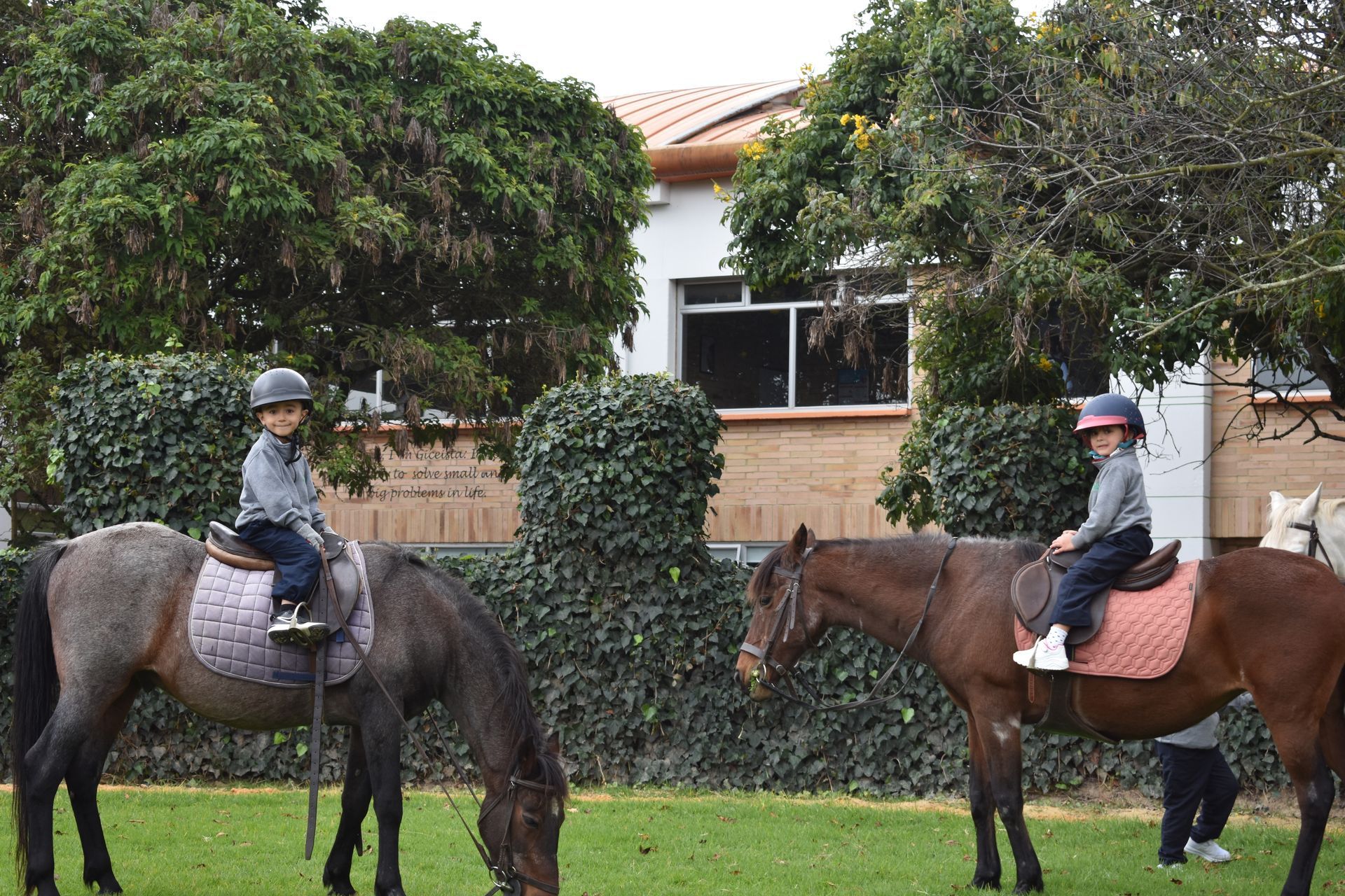 Dos jinetes a caballo en un patio cubierto de hierba junto a una casa y un seto.
