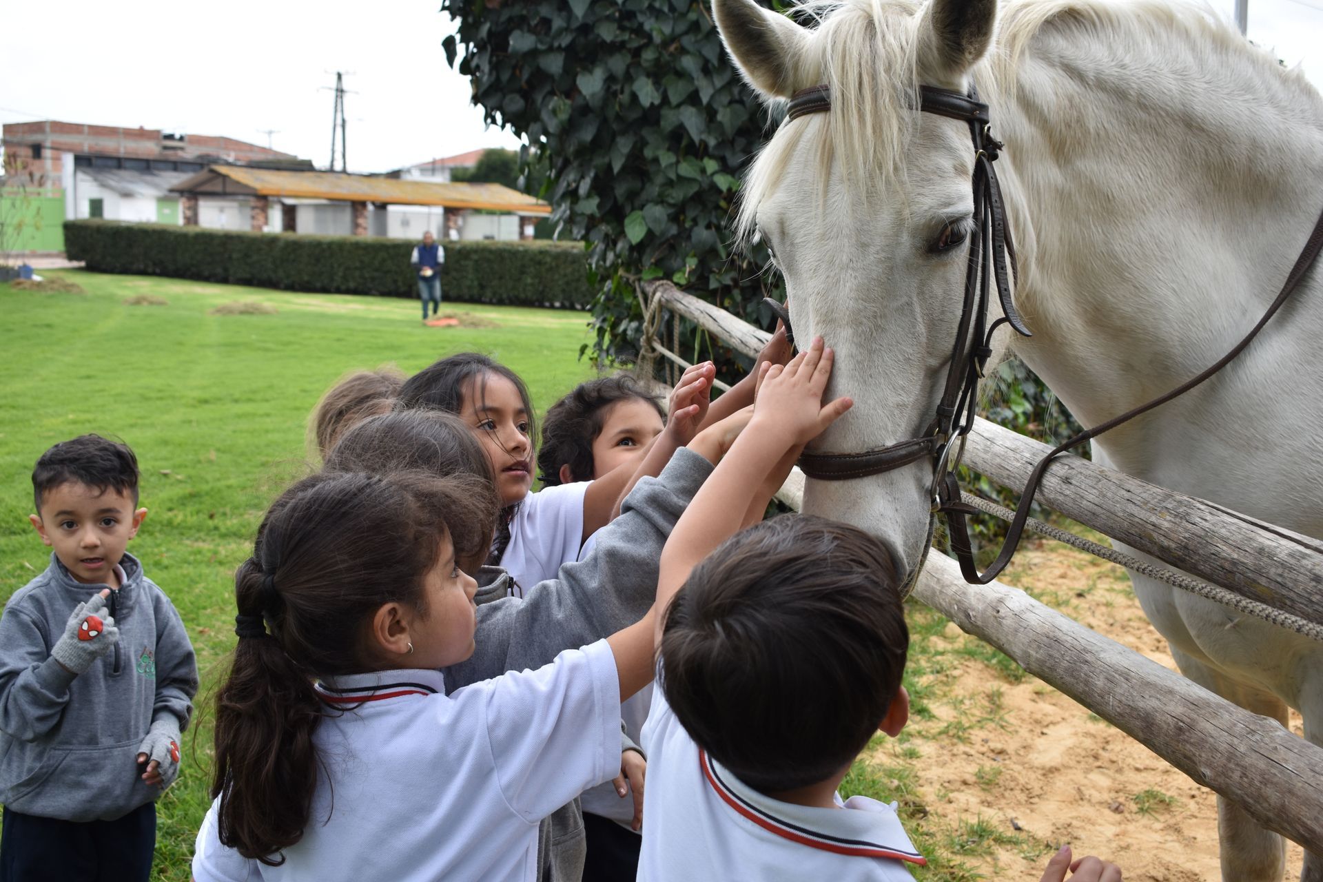 Unos niños acarician un caballo blanco junto a una valla de madera en un campo de hierba.