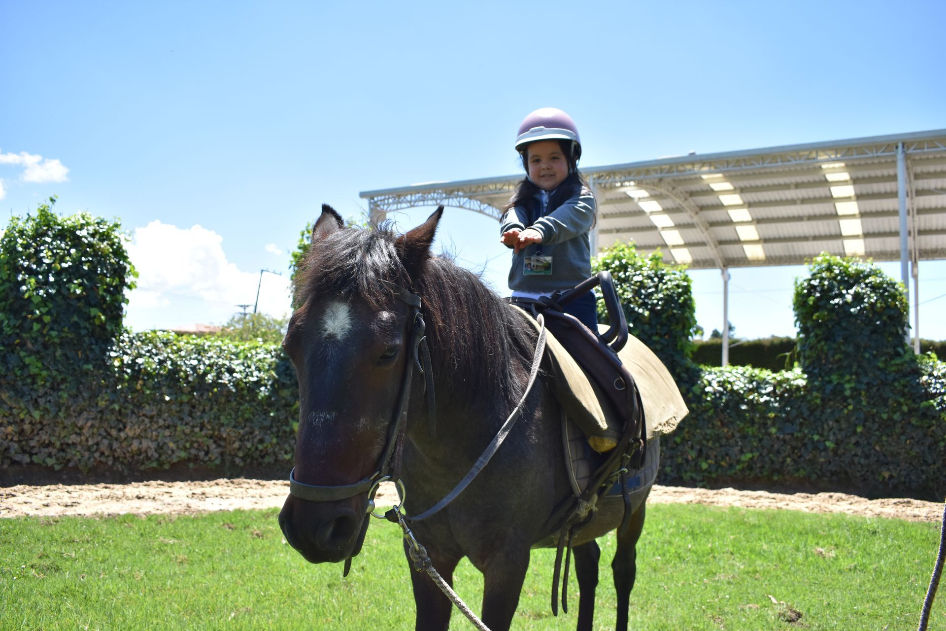 Un niño montando un caballo oscuro en una soleada pista al aire libre.