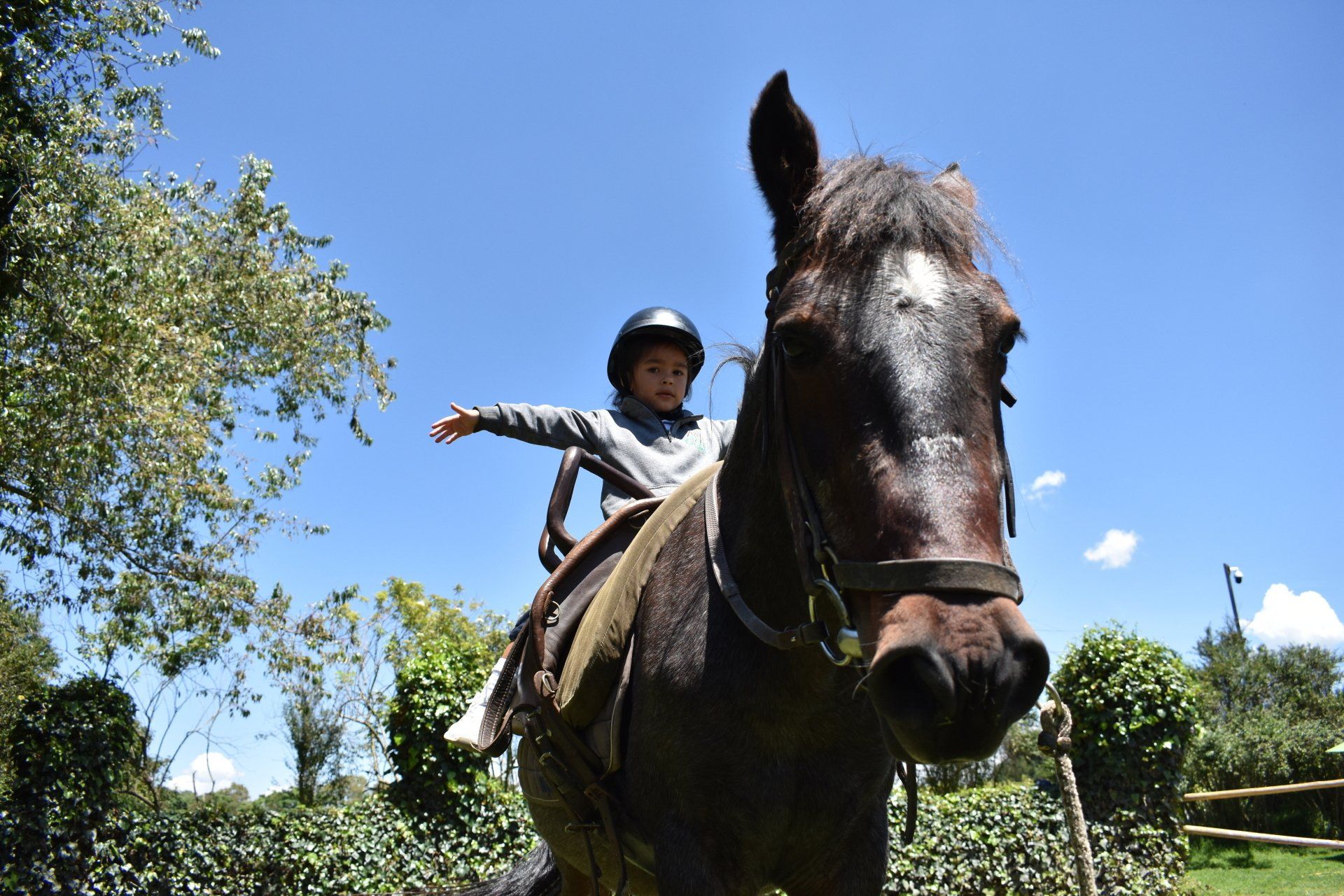 Un niño monta a caballo al aire libre bajo un cielo azul, con un dedo apuntando hacia la izquierda.