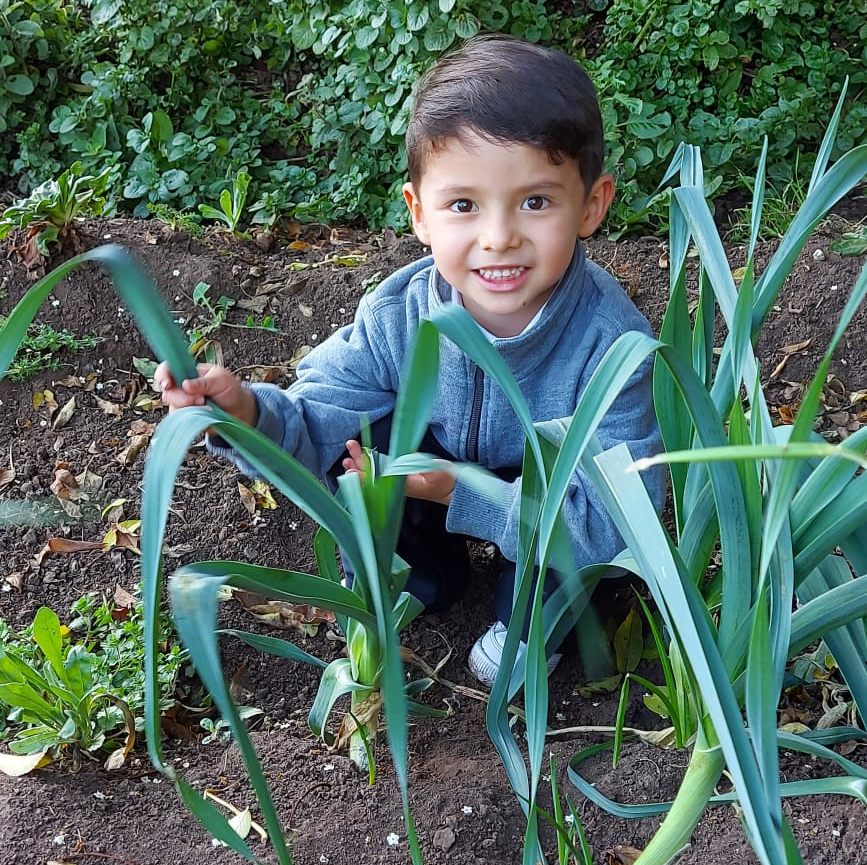 Un niño sonriente se agacha en un jardín entre plantas verdes altas y tierra.