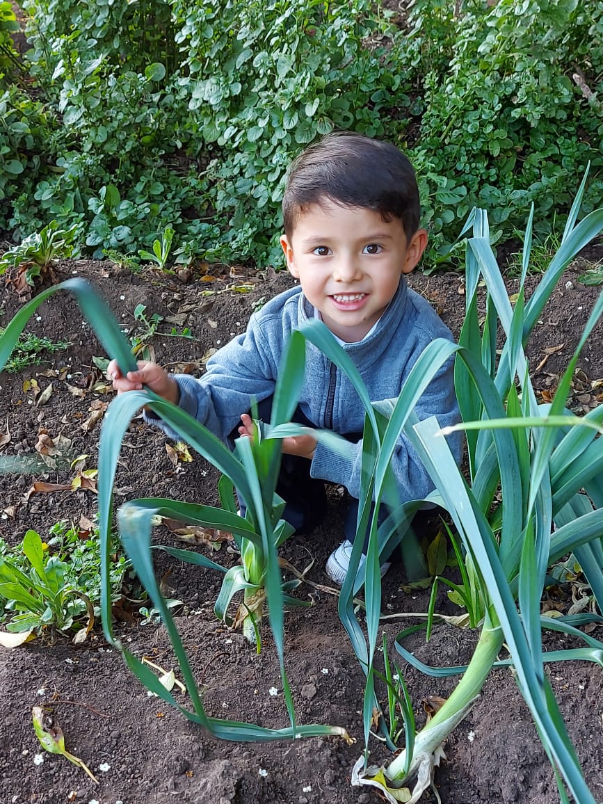 Un niño trabaja en el jardín entre plantas de hojas verdes, sosteniendo una herramienta de mango largo y sonriendo.