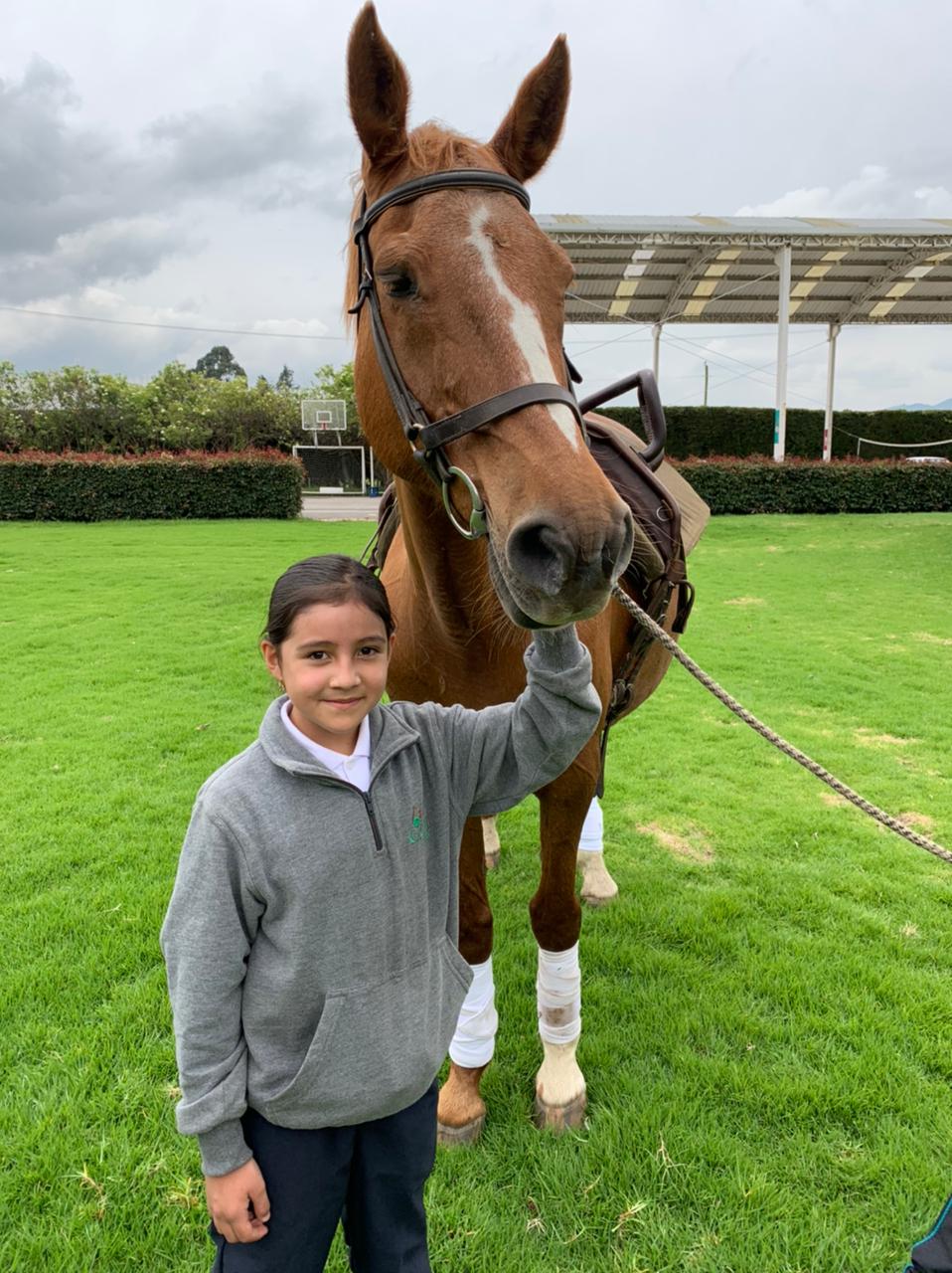 Niña de pie junto a un caballo marrón en un césped verde bajo un cielo nublado.