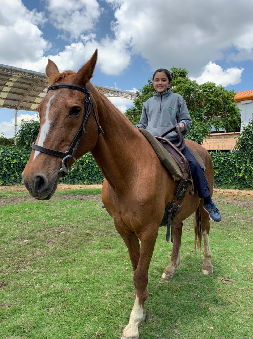 Persona montando un caballo marrón sobre la hierba bajo un cielo nublado.