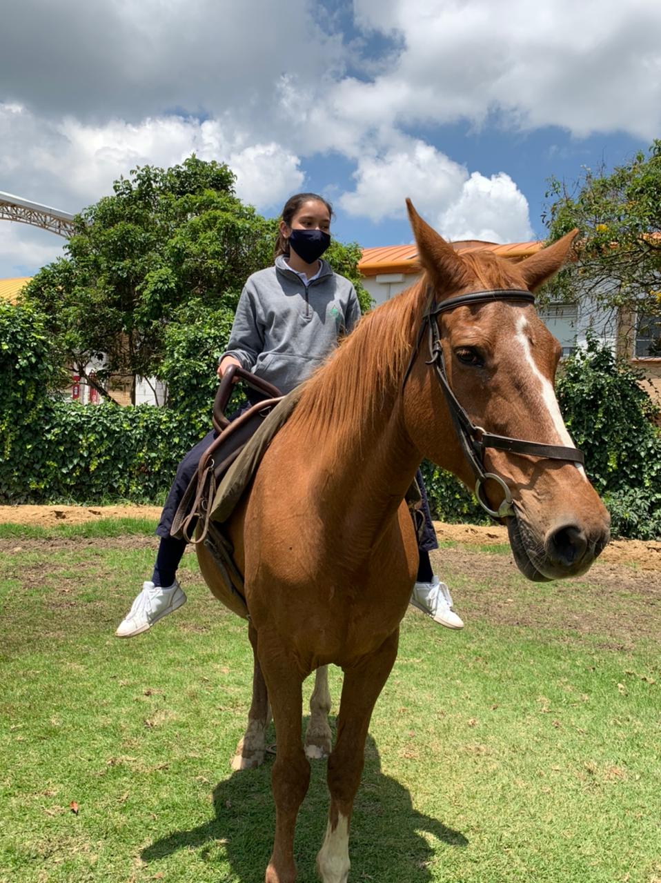 Persona montada en un caballo marrón en un campo de hierba bajo un cielo nublado.