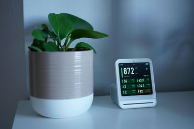 A potted plant sits next to a digital smart display showing air quality statistics on a white surface.