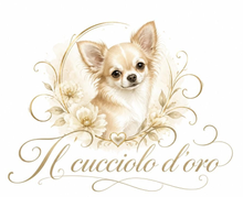 Gold cursive logo reading “Il Cucciolo d’Oro” with small “allevamento” above it