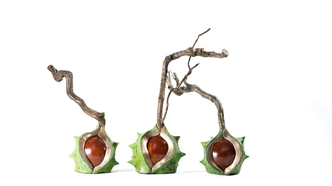 A dynamic handbuilt spiky conker - brown nut, bronze finish opening with variegated green husk and a real piece of dried heather as a stalk. An unusual and distinctive sculpture which is very tactile.