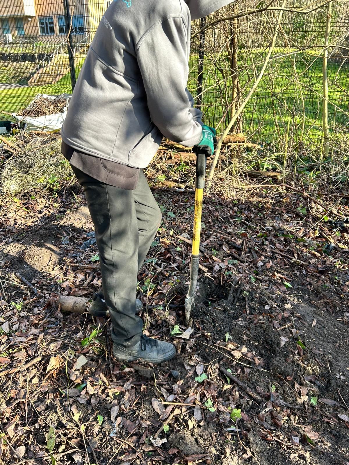 A person is digging a hole in the ground with a shovel.