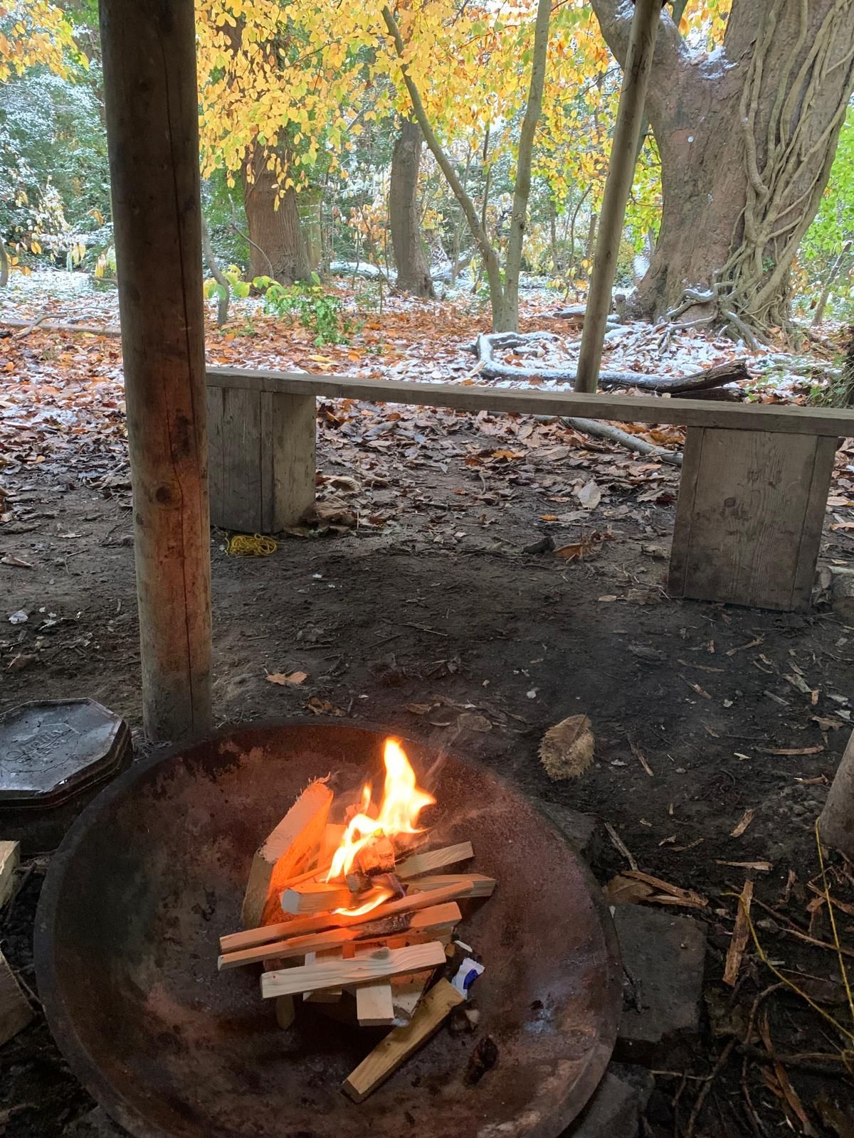A fire pit in the woods with a bench in the background.