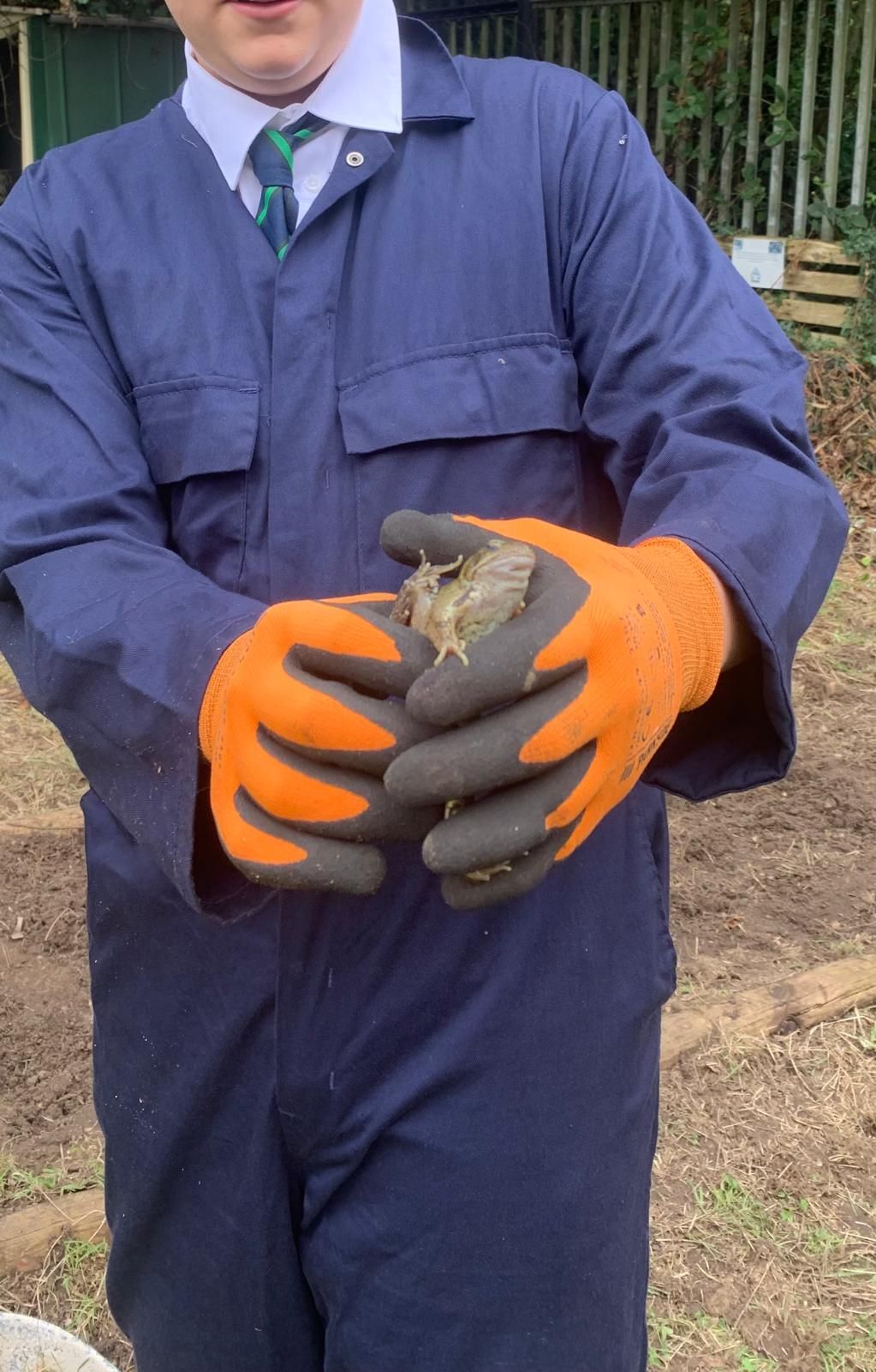 A man in a blue jumpsuit and tie is holding a frog in his hands.
