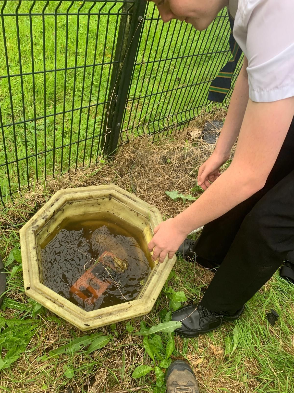 A person is kneeling down next to a bucket of water.
