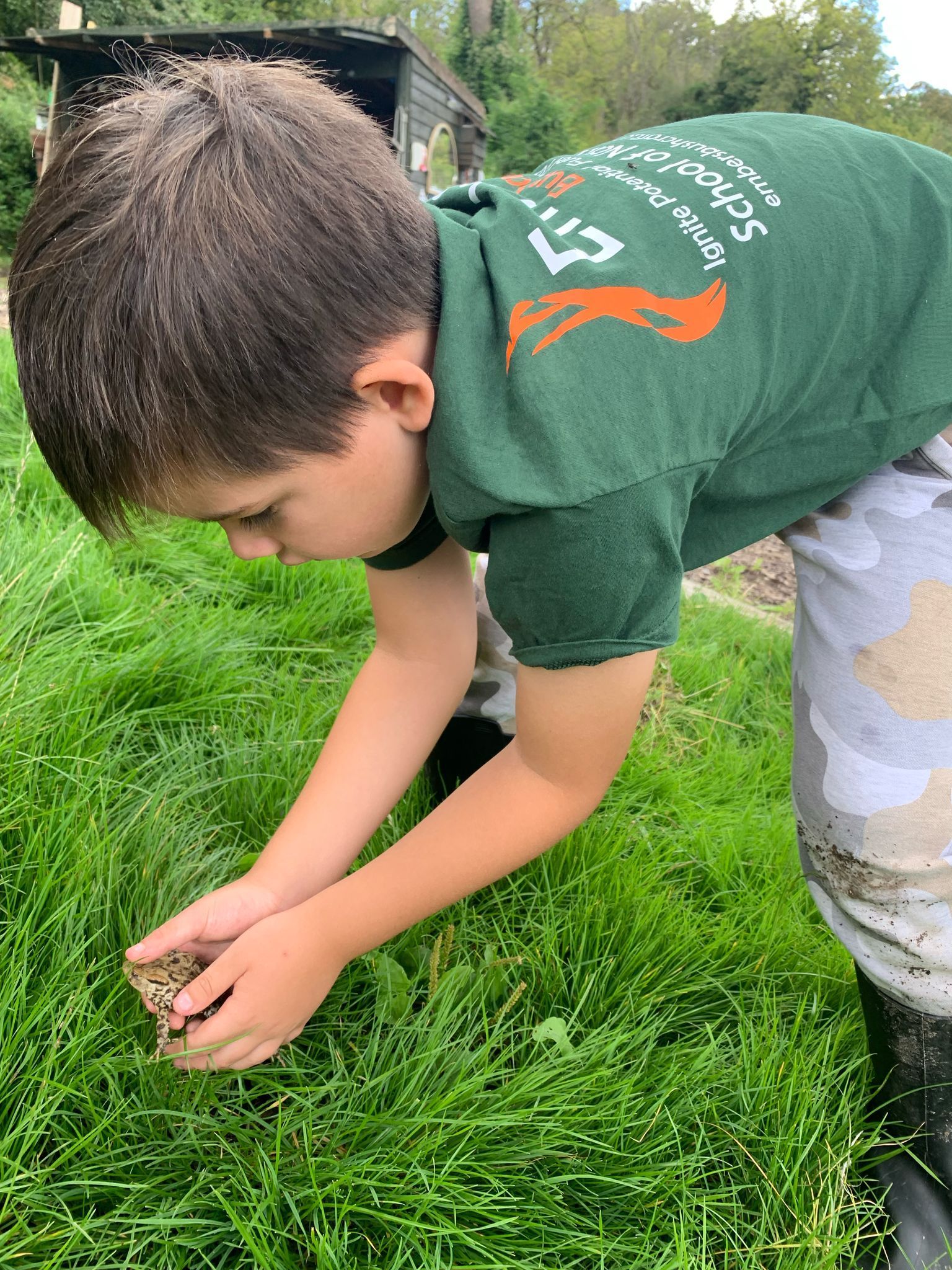A young boy in a green shirt is kneeling down in the grass.