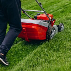 Lawn Care | Land O Lakes, FL | Turning Point Property Maintenance