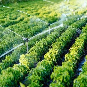 Irrigation Installation | Land O Lakes, FL | Turning Point Property Maintenance