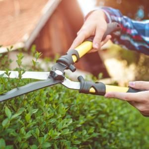 Shrub Trimming | Land O Lakes, FL | Turning Point Property Maintenance