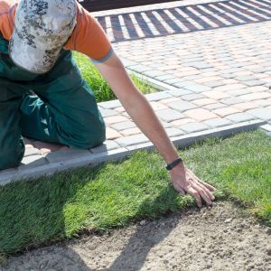 Sod Installation | Land O Lakes, FL | Turning Point Property Maintenance
