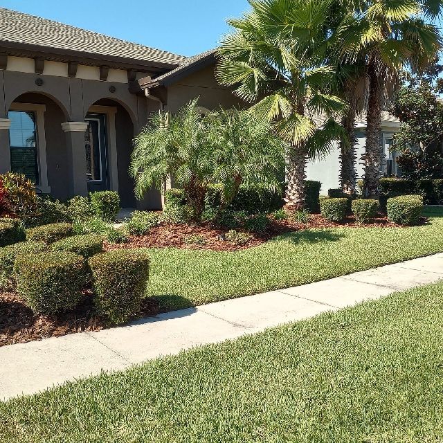 Weed Control | Land O Lakes, FL | Turning Point Property Maintenance