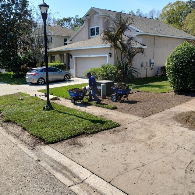 Weed Control | Land O Lakes, FL | Turning Point Property Maintenance