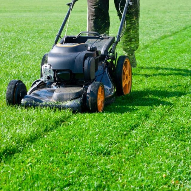 Lawn Mowing | Land O Lakes, FL | Turning Point Property Maintenance