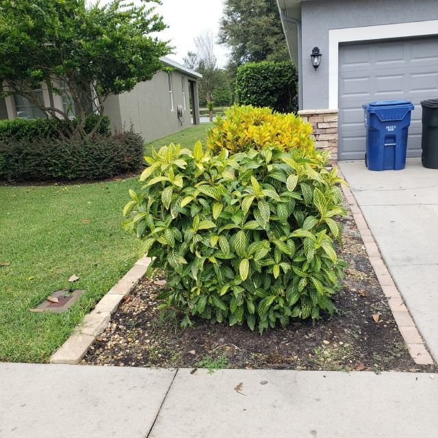 Weed Control | Land O Lakes, FL | Turning Point Property Maintenance