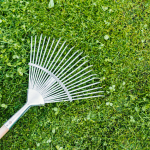 Attention to Detail | Land O Lakes, FL | Turning Point Property Maintenance