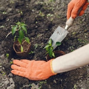 Mulching | Land O Lakes, FL | Turning Point Property Maintenance