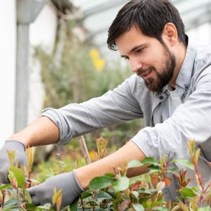 Personal Touch | Land O Lakes, FL | Turning Point Property Maintenance