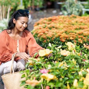 Planting | Land O Lakes, FL | Turning Point Property Maintenance