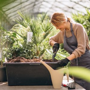 Landscape Planting | Land O Lakes, FL | Turning Point Property Maintenance