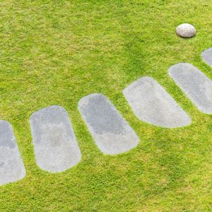 Highly Responsive | Land O Lakes, FL | Turning Point Property Maintenance
