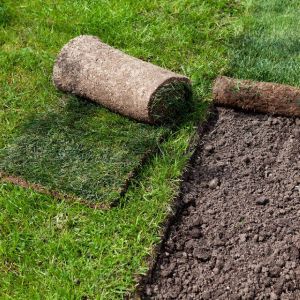 Premium Quality | Land O Lakes, FL | Turning Point Property Maintenance