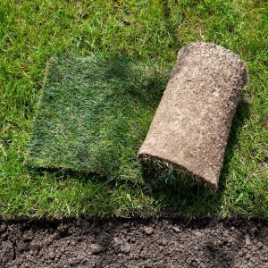 Reputation of Success | Land O Lakes, FL | Turning Point Property Maintenance