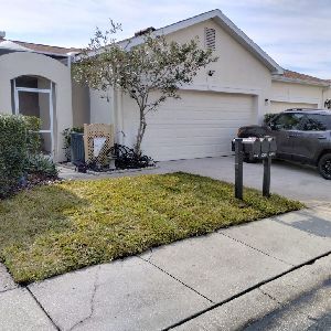 Sod Installation | Land O Lakes, FL | Turning Point Property Maintenance